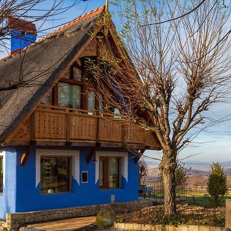 Casele Cu Stuf B&B Haus Ulrike Sălicea Εξωτερικό φωτογραφία