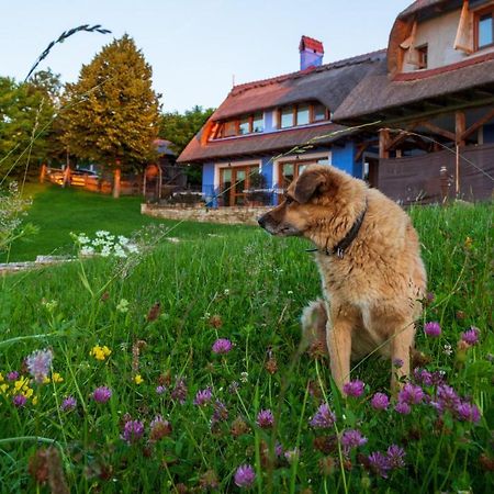 Casele Cu Stuf B&B Haus Ulrike Sălicea Εξωτερικό φωτογραφία