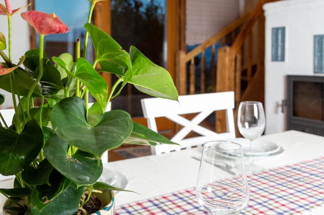 Casele Cu Stuf B&B Haus Ulrike Sălicea Εξωτερικό φωτογραφία