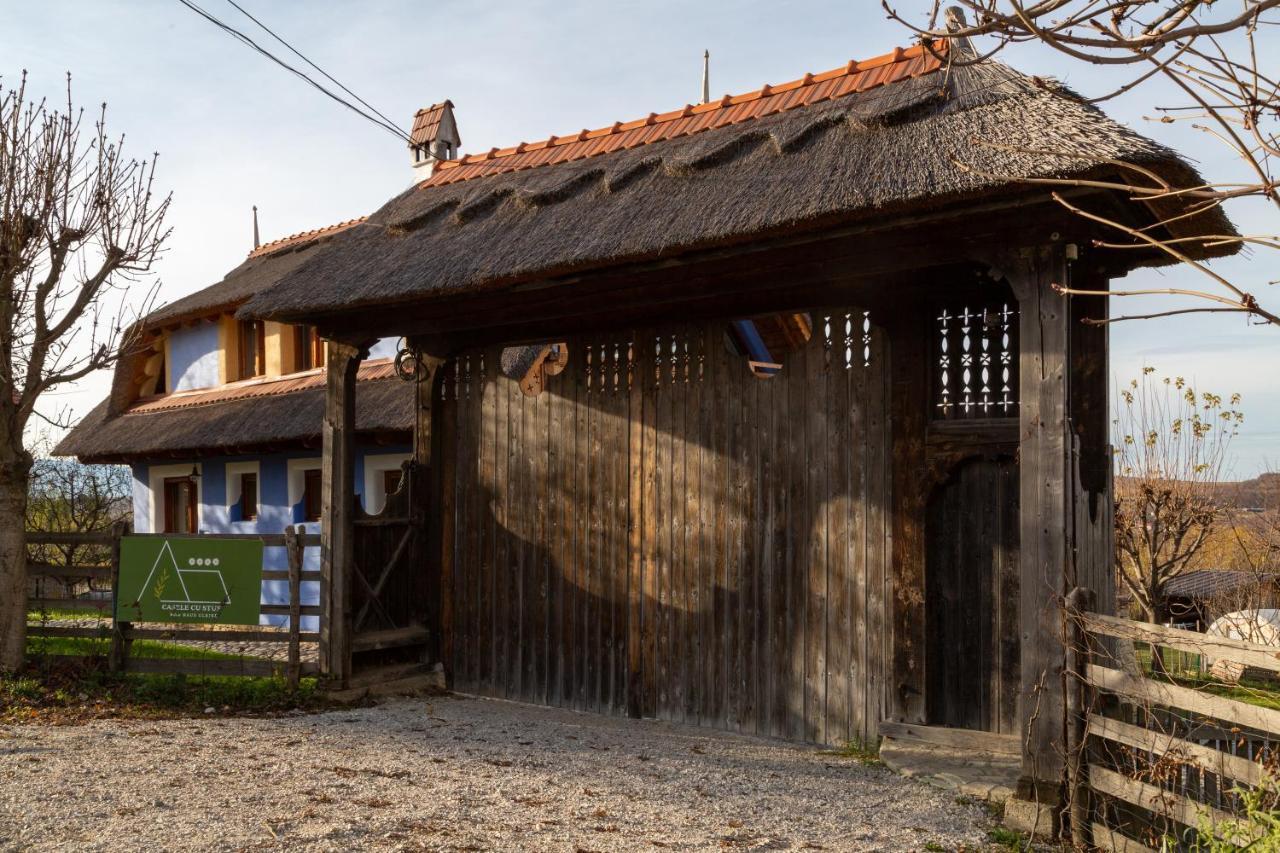 Casele Cu Stuf B&B Haus Ulrike Sălicea Εξωτερικό φωτογραφία