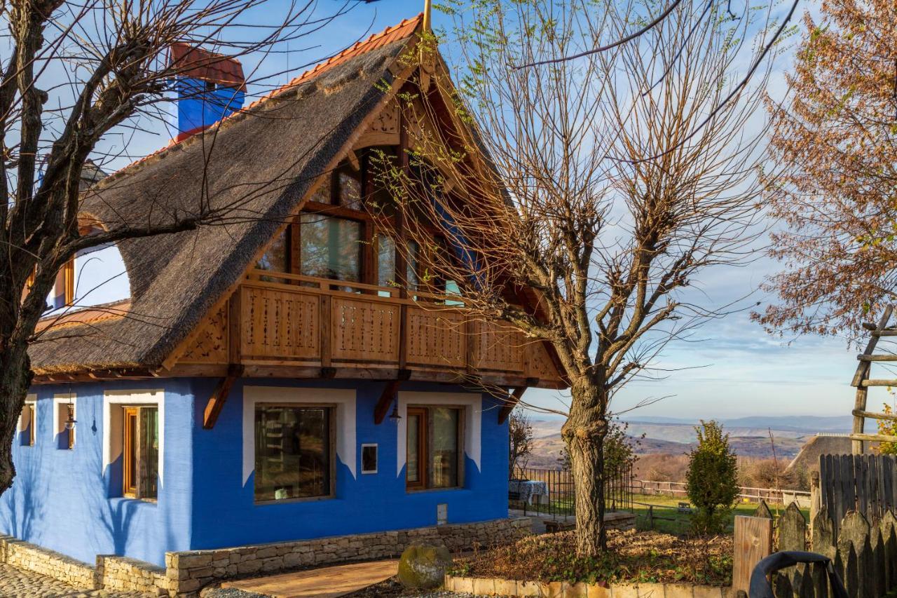 Casele Cu Stuf B&B Haus Ulrike Sălicea Εξωτερικό φωτογραφία