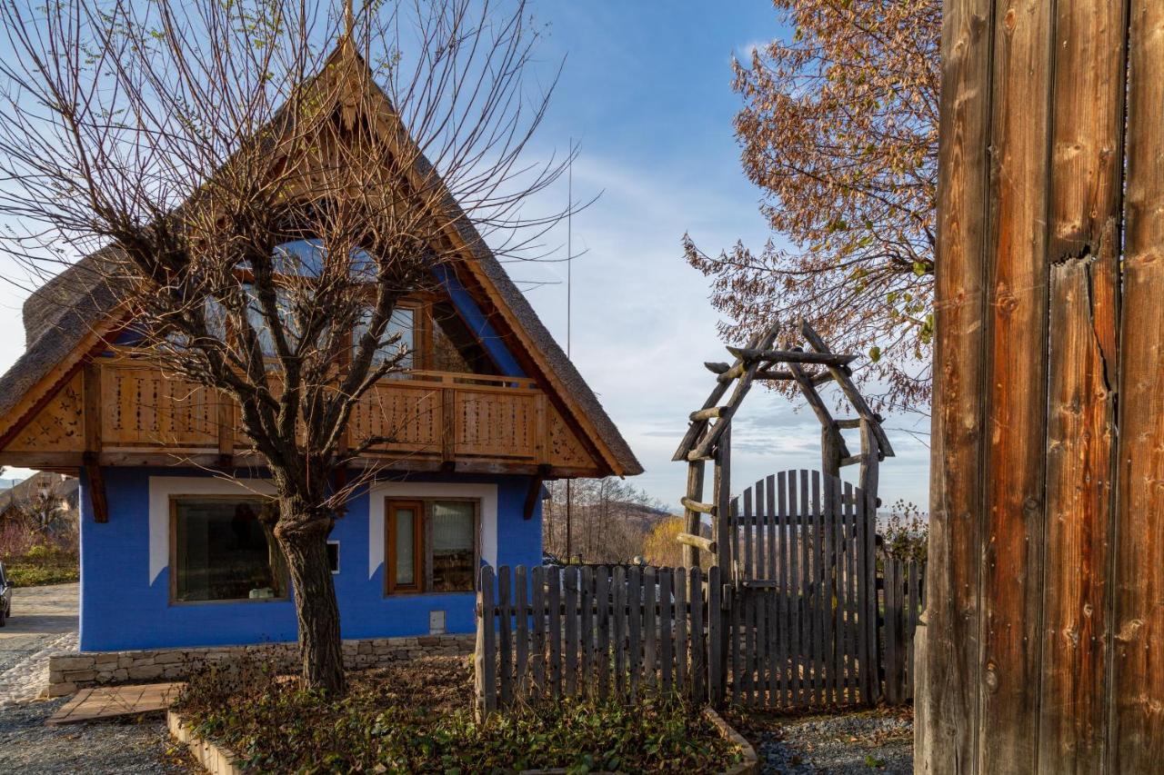 Casele Cu Stuf B&B Haus Ulrike Sălicea Εξωτερικό φωτογραφία