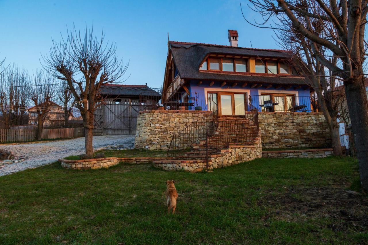 Casele Cu Stuf B&B Haus Ulrike Sălicea Εξωτερικό φωτογραφία