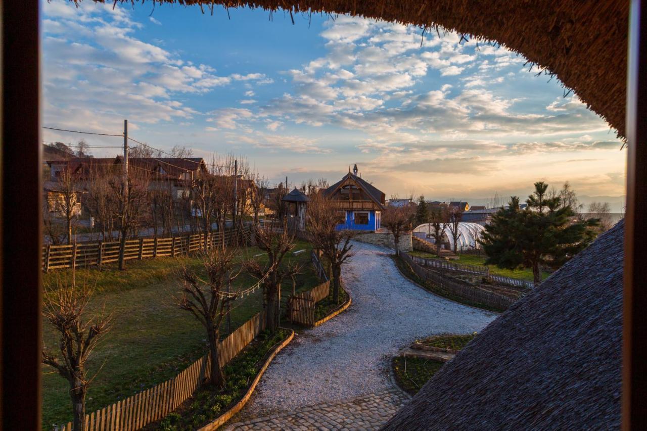 Casele Cu Stuf B&B Haus Ulrike Sălicea Εξωτερικό φωτογραφία
