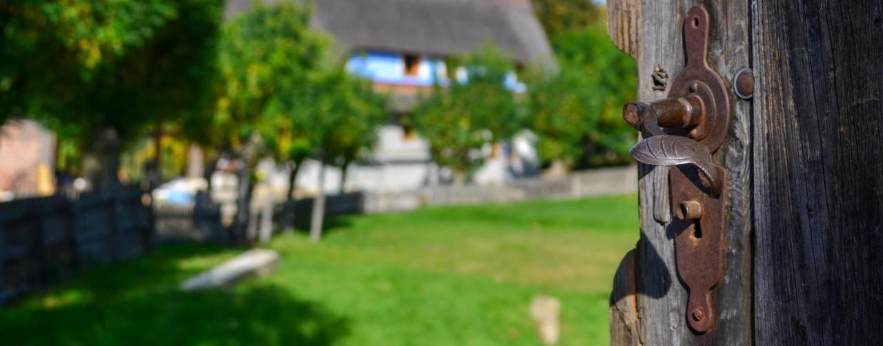Casele Cu Stuf B&B Haus Ulrike Sălicea Εξωτερικό φωτογραφία