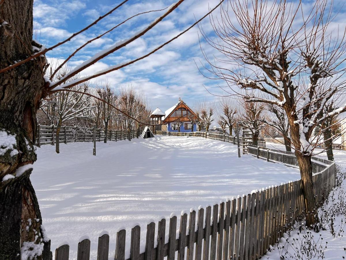 Casele Cu Stuf B&B Haus Ulrike Sălicea Εξωτερικό φωτογραφία