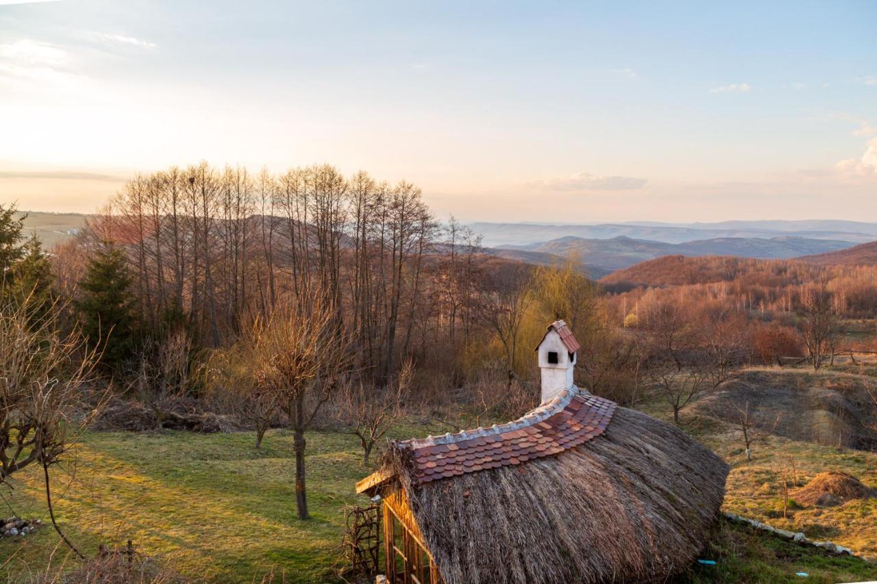 Casele Cu Stuf B&B Haus Ulrike Sălicea Εξωτερικό φωτογραφία
