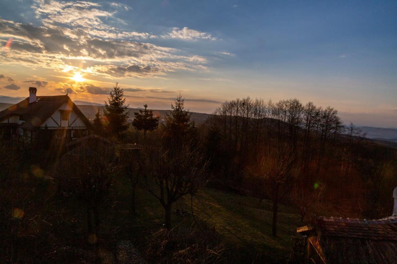 Casele Cu Stuf B&B Haus Ulrike Sălicea Εξωτερικό φωτογραφία