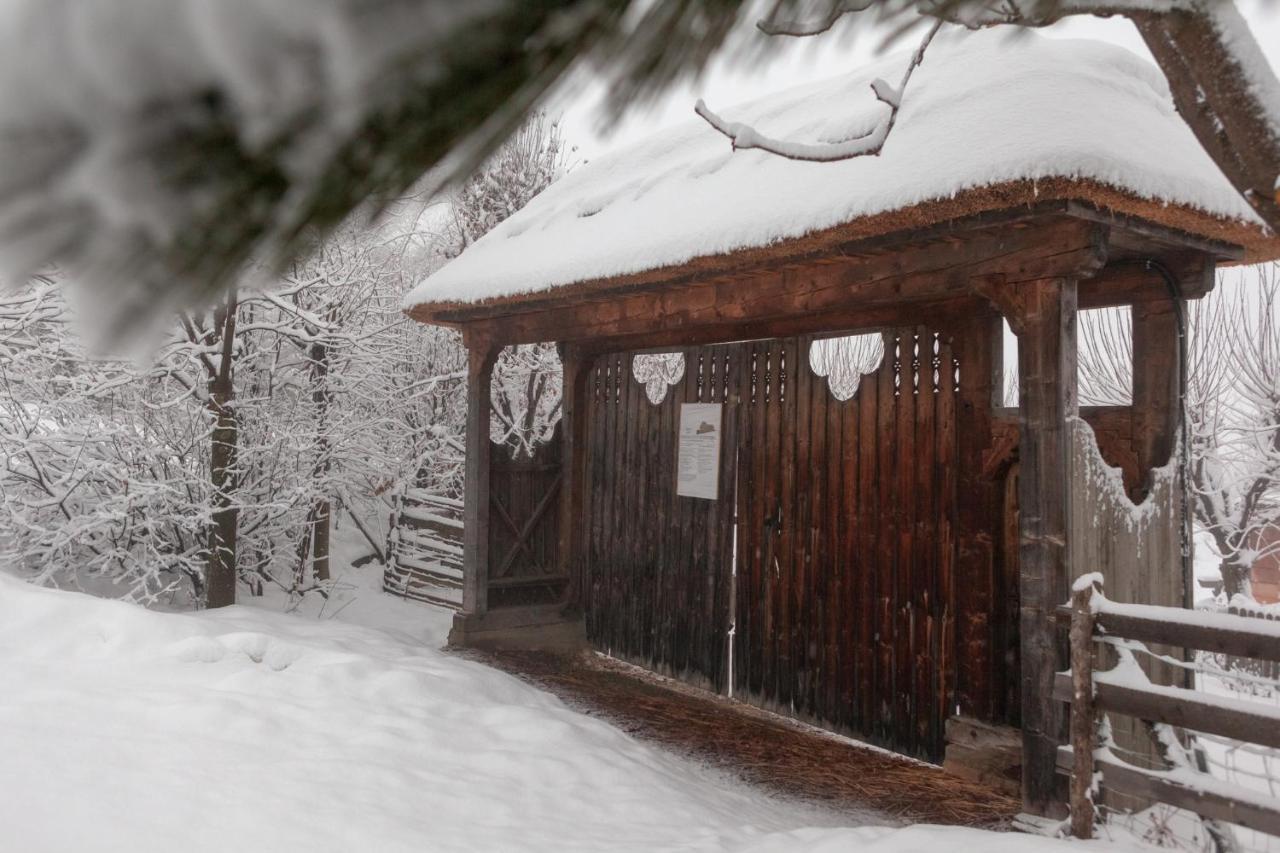 Casele Cu Stuf B&B Haus Ulrike Sălicea Εξωτερικό φωτογραφία
