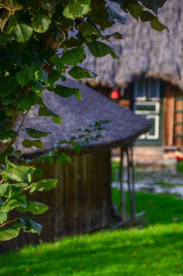 Casele Cu Stuf B&B Haus Ulrike Sălicea Εξωτερικό φωτογραφία