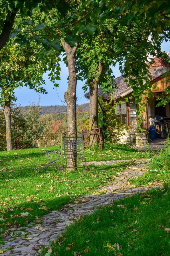 Casele Cu Stuf B&B Haus Ulrike Sălicea Εξωτερικό φωτογραφία