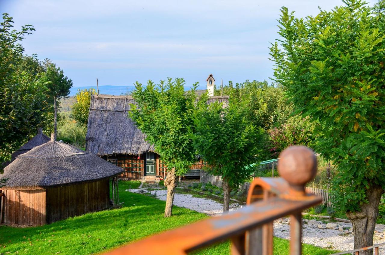 Casele Cu Stuf B&B Haus Ulrike Sălicea Εξωτερικό φωτογραφία