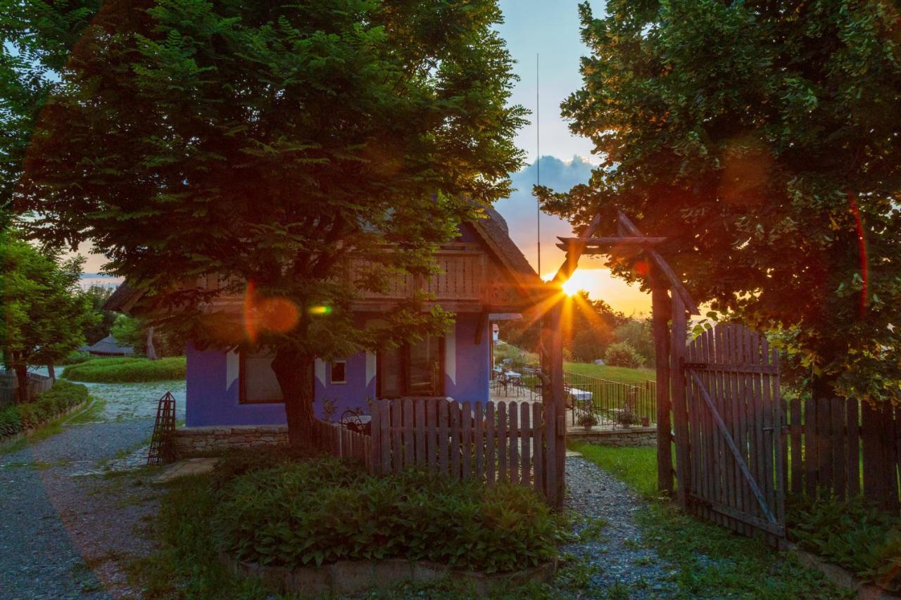 Casele Cu Stuf B&B Haus Ulrike Sălicea Εξωτερικό φωτογραφία
