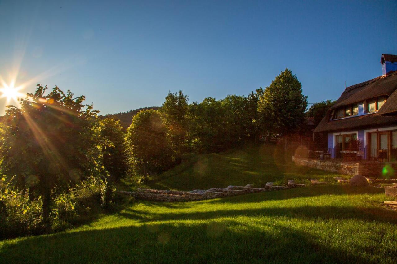 Casele Cu Stuf B&B Haus Ulrike Sălicea Εξωτερικό φωτογραφία